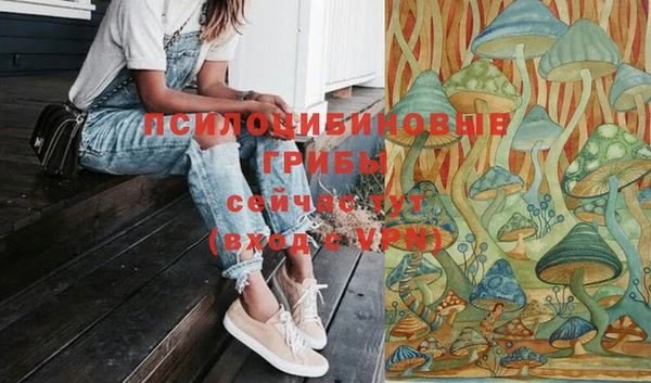синтетический гашиш Арсеньев