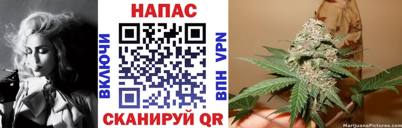 закладка  Судак  hydra сайт  Бошки марихуана Amnesia 